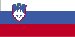 slovenian Wisconsin - Myndighed Navn (Branch) (side 1)